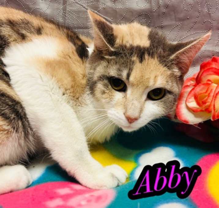 Photo of Abby