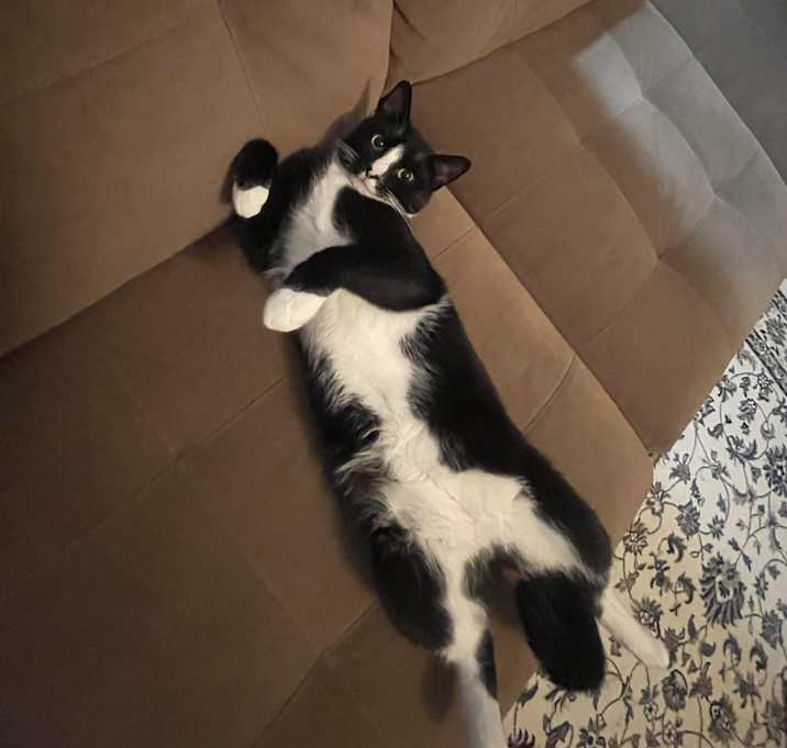 Photo of Funduq