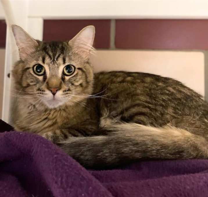 Photo of QUEY