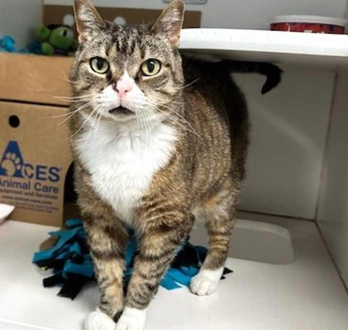 Photo of Alice