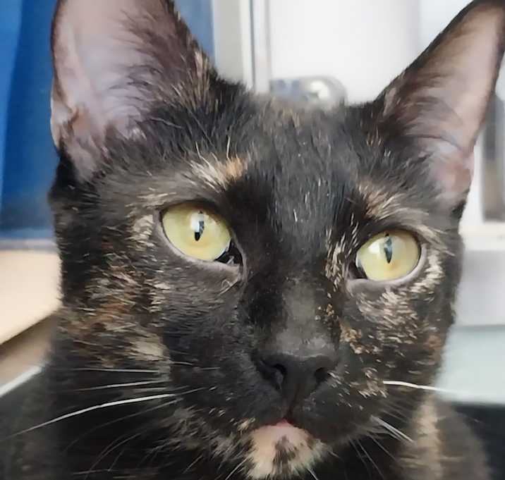 Photo of Winnie