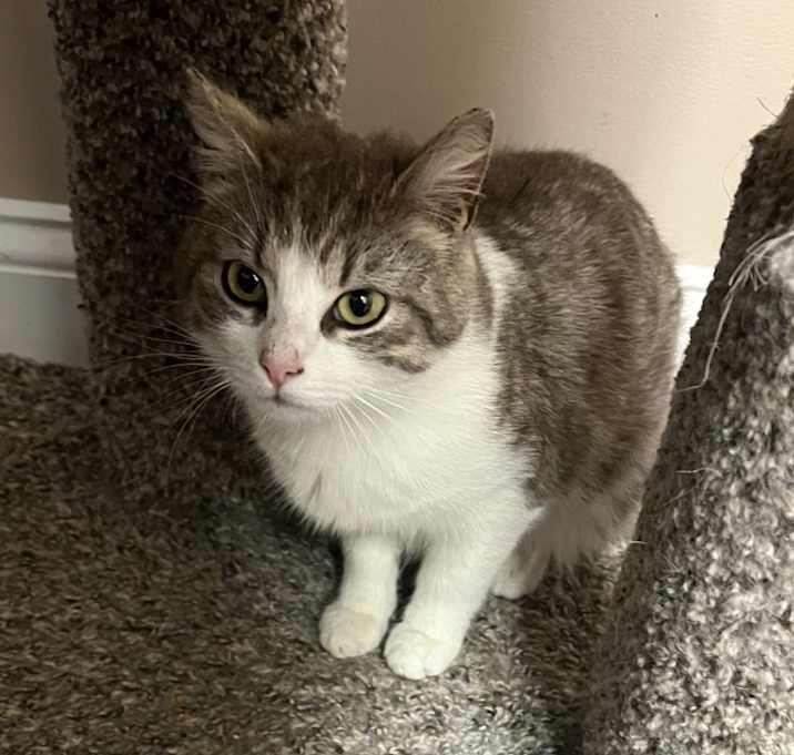 Photo of Cindy