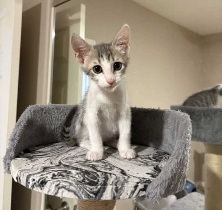 Photo of Denim