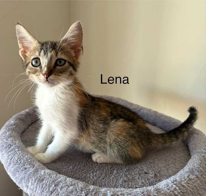 Photo of Lena