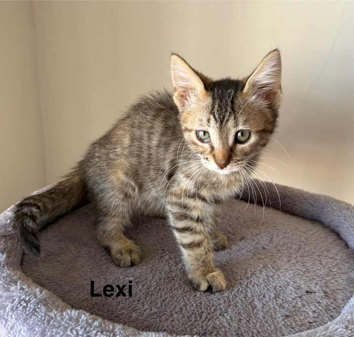Photo of Lexi