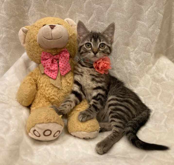 Photo of Heidi