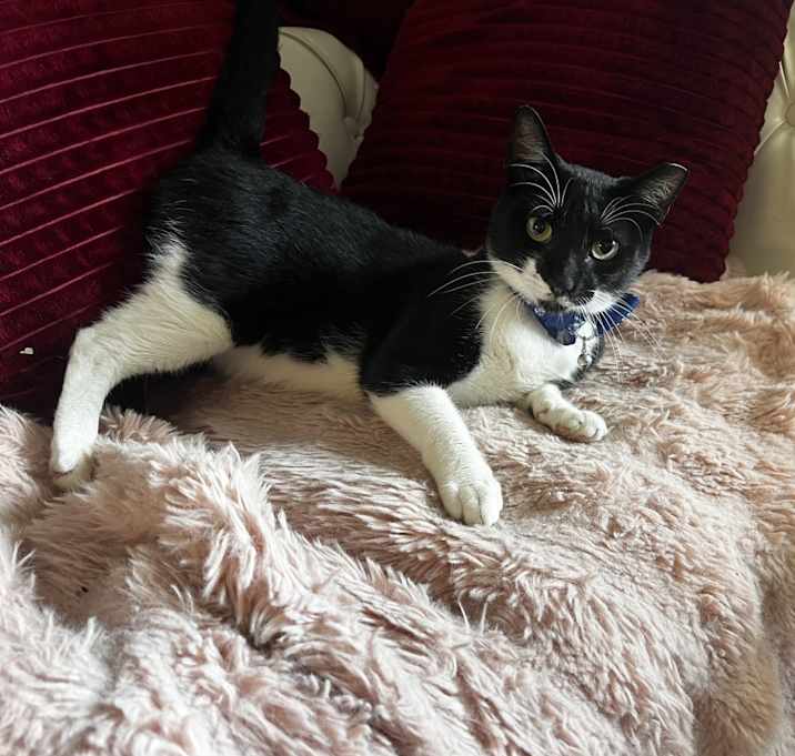 Photo of TUX