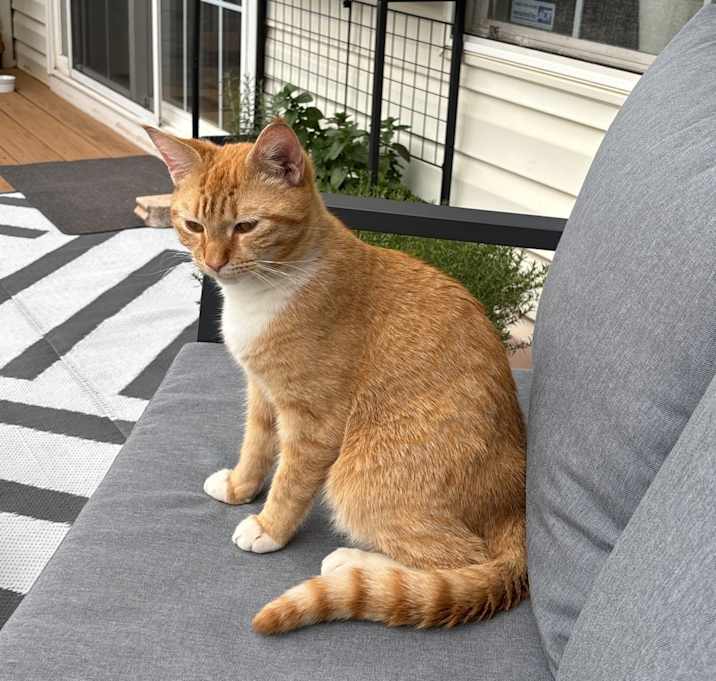 Photo of Teddy