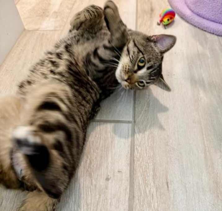 Photo of Pixel