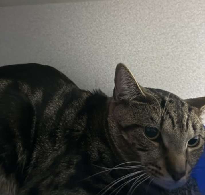 Photo of Beamer