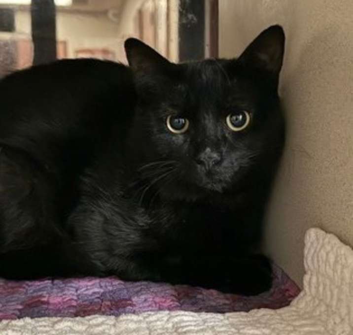 Photo of Max
