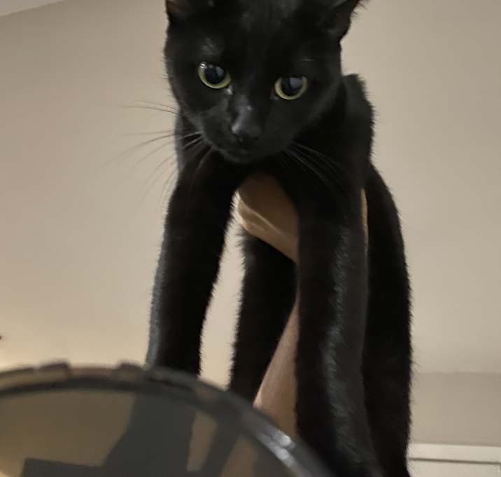 Photo of Boba
