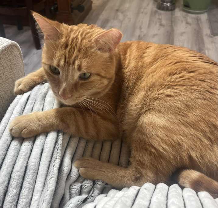 Photo of Gus