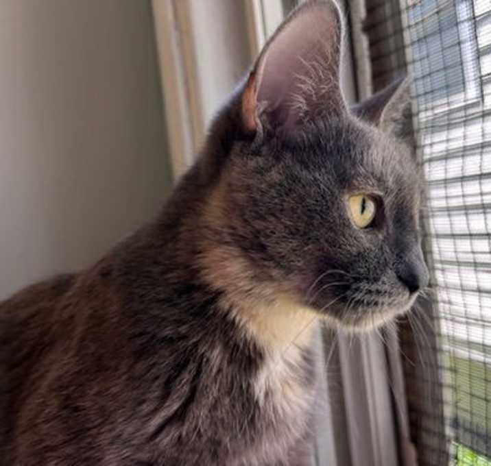 Photo of Cornbread