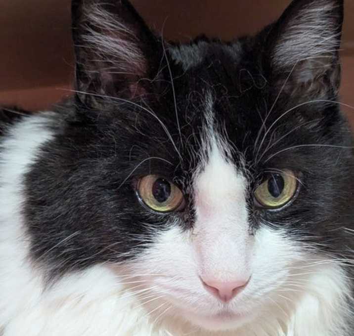Photo of Edgar