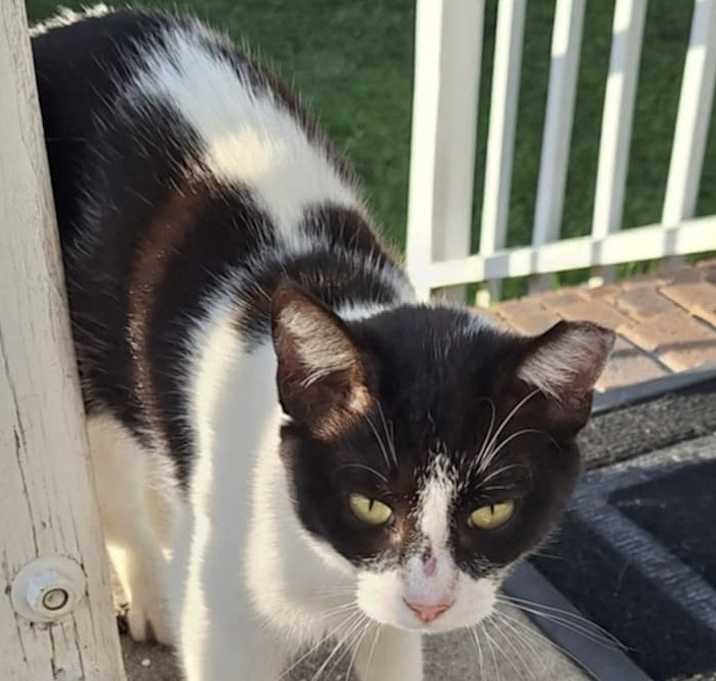 Photo of Betsie