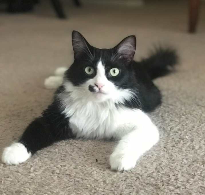 Photo of Sophie