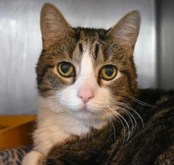 Photo of Kiwi