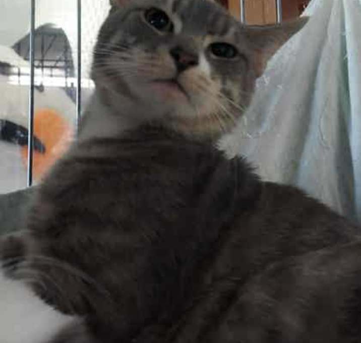 Photo of ShaZaam