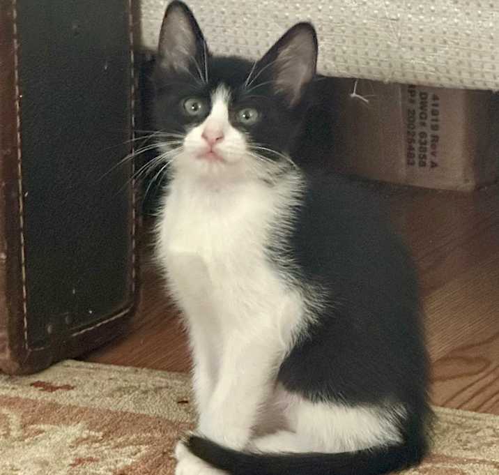 Photo of Hermione