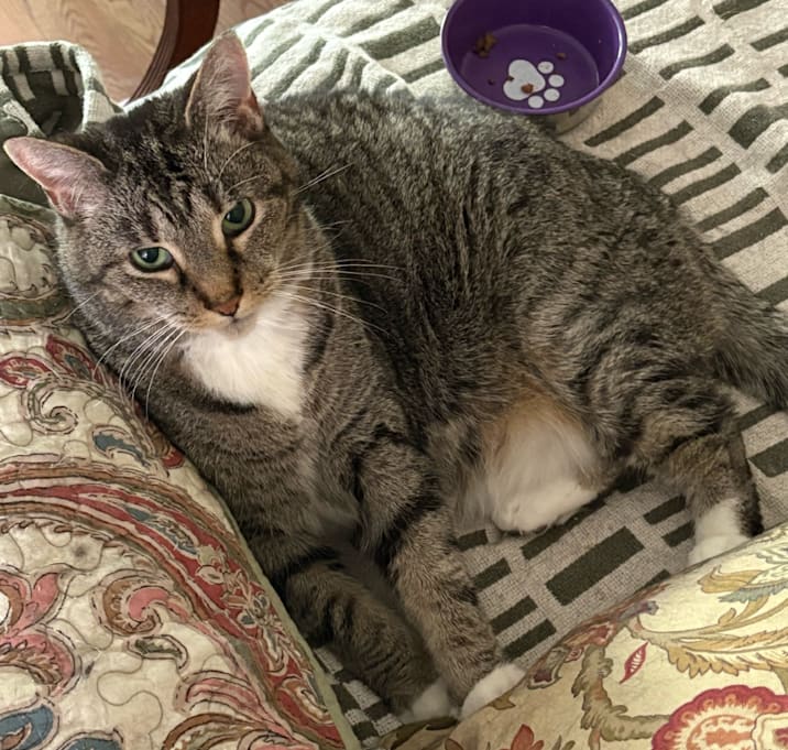 Photo of Elsie