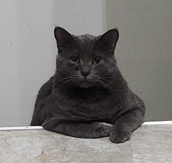 Photo of Jasper