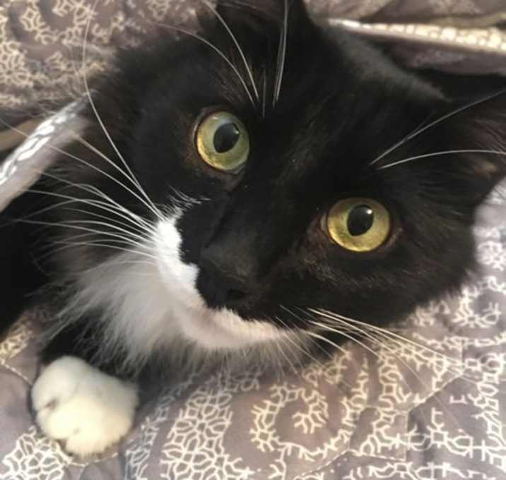 Photo of Bruce Wayne