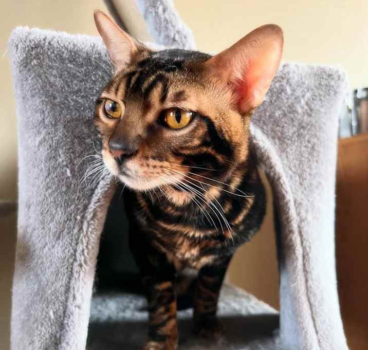 Photo of Lucky
