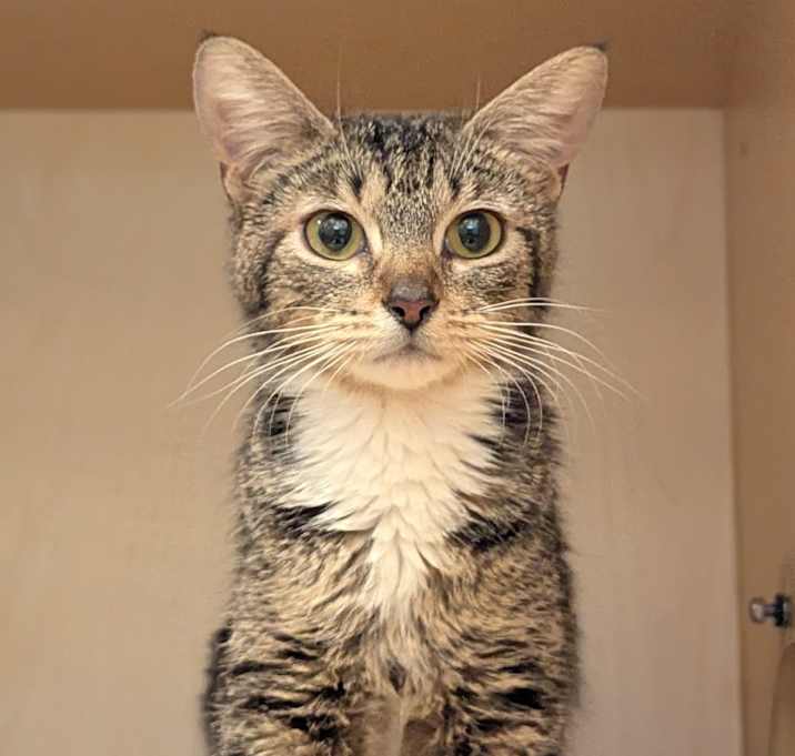 Photo of Della