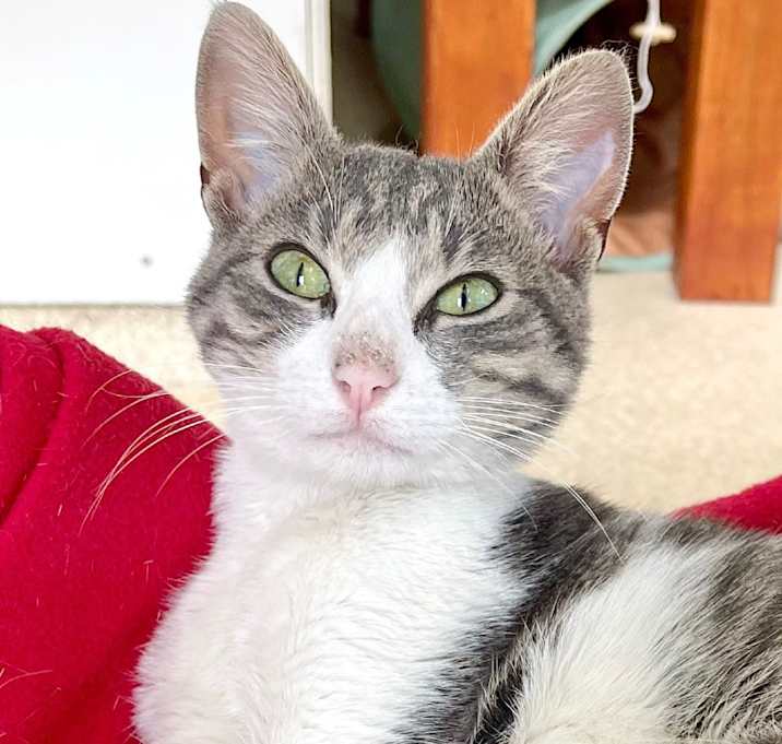 Photo of Slim Jim