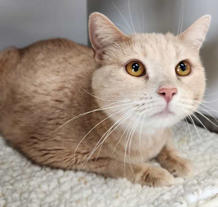 Photo of Milo