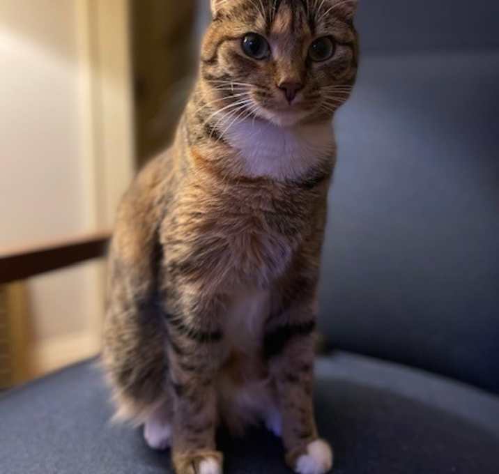 Photo of Pippa