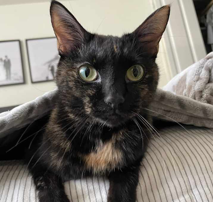Photo of Nellie