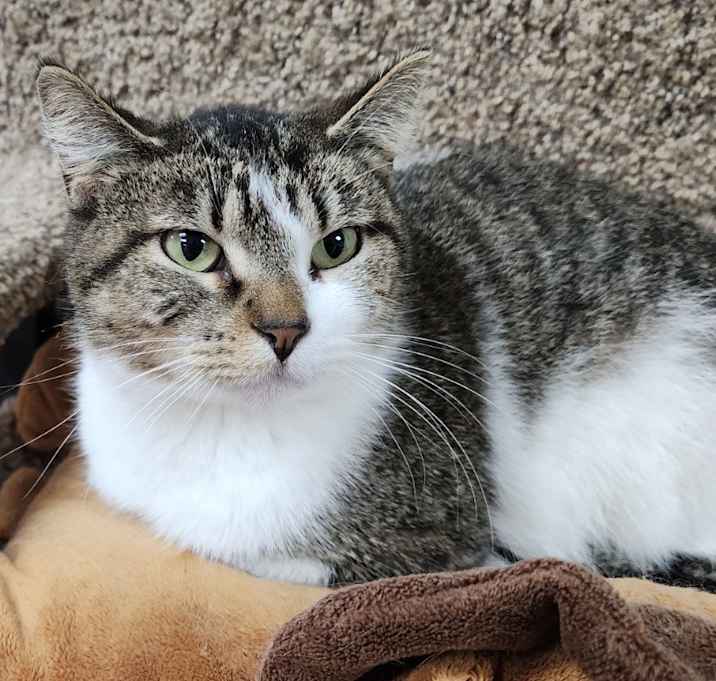 Photo of Stella