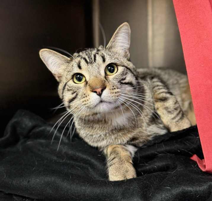 Photo of Winston