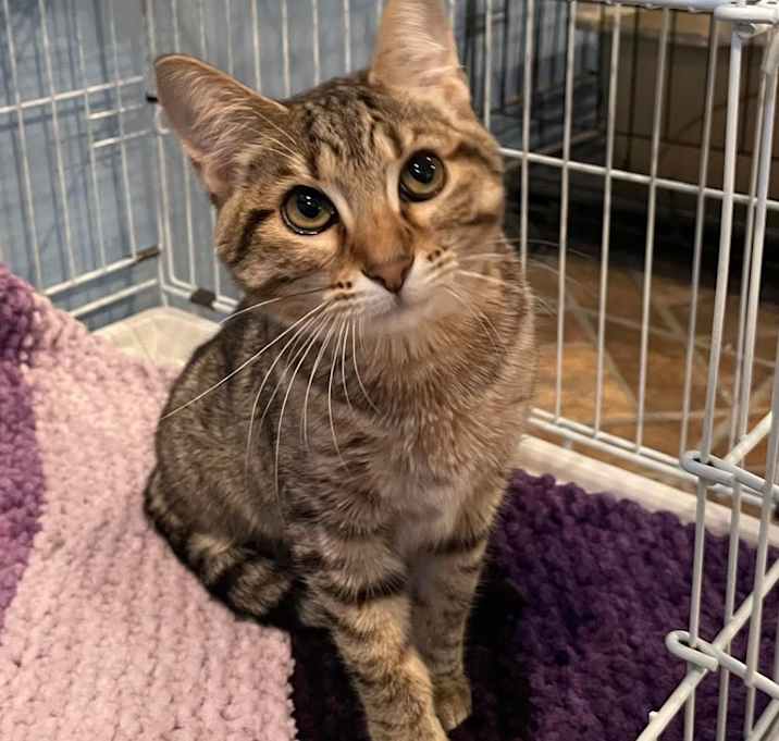 Photo of Winnie