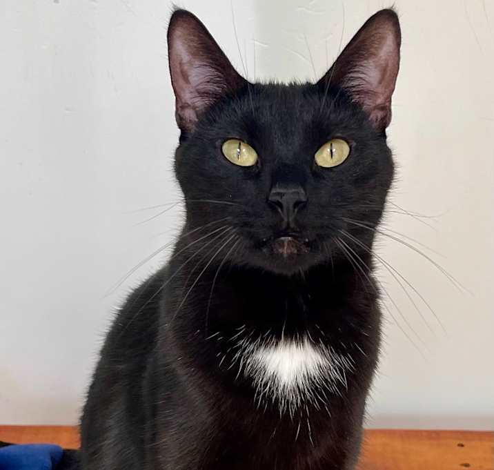 Photo of Bonnie