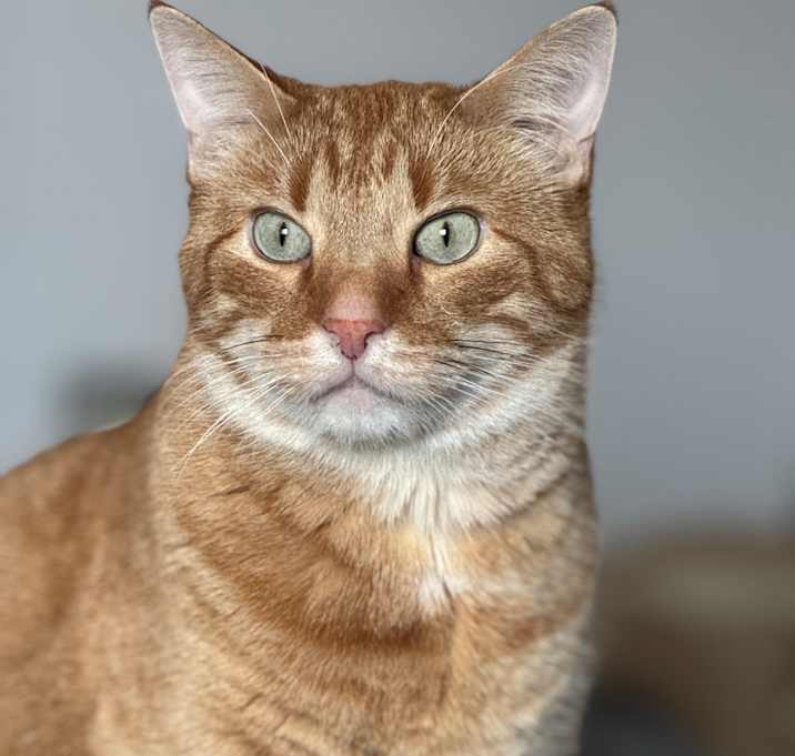 Photo of Cha-Cha-Charlie