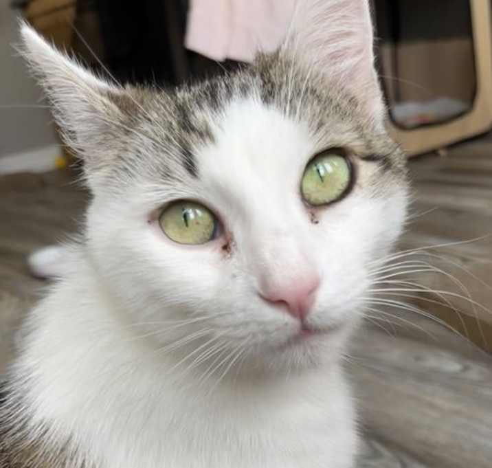 Photo of Danica Airabelle