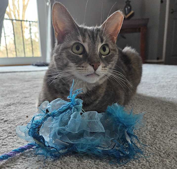 Photo of Valerie