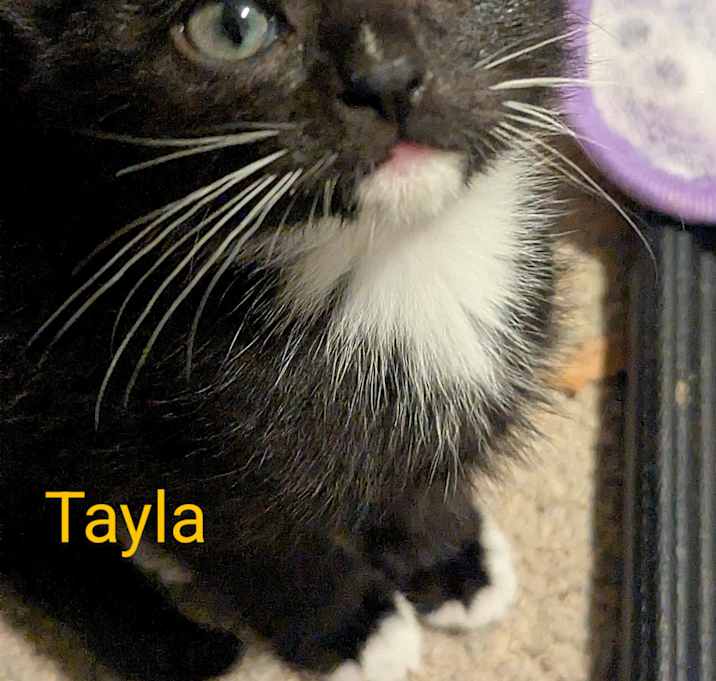Photo of Tayla