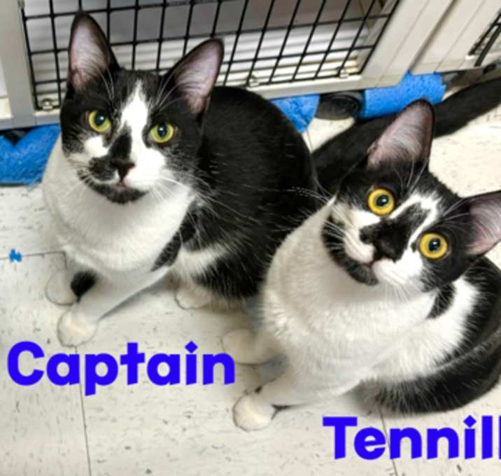 Photo of Captain