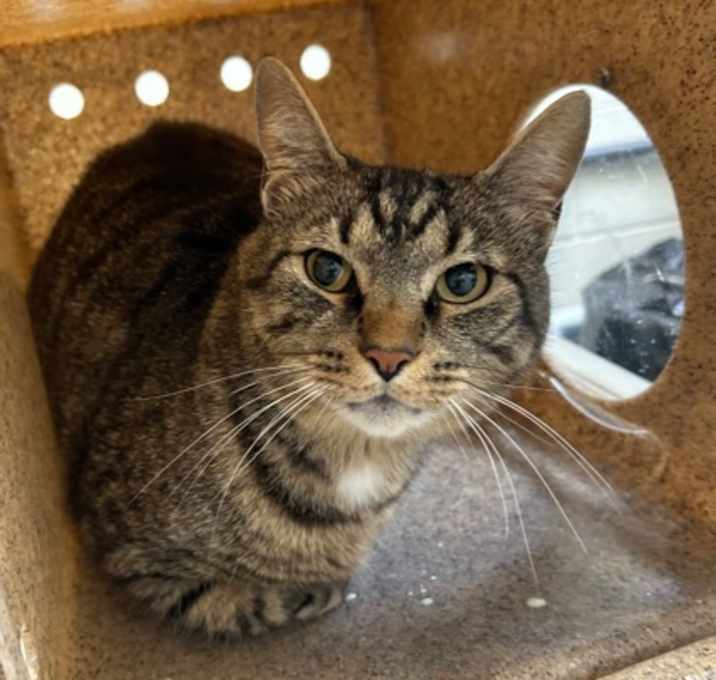 Photo of Simon