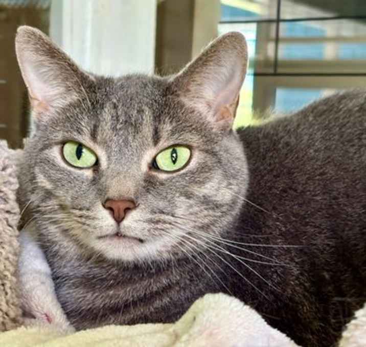 Photo of Ellie Mae
