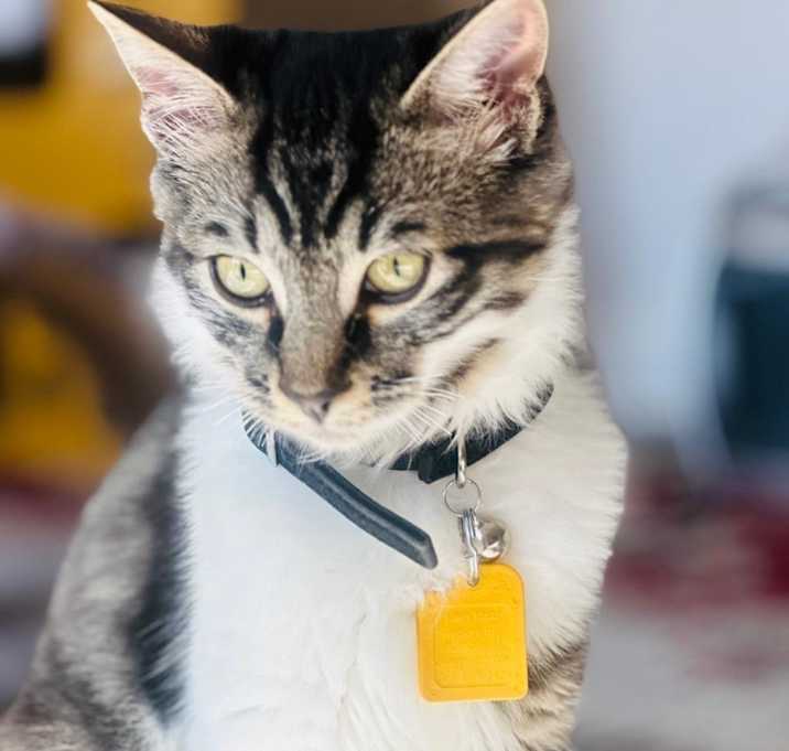 Photo of Rupert