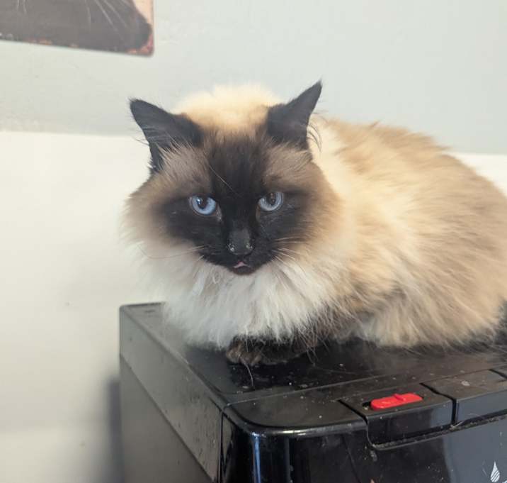 Photo of Sushi