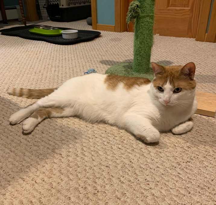 Photo of Percy
