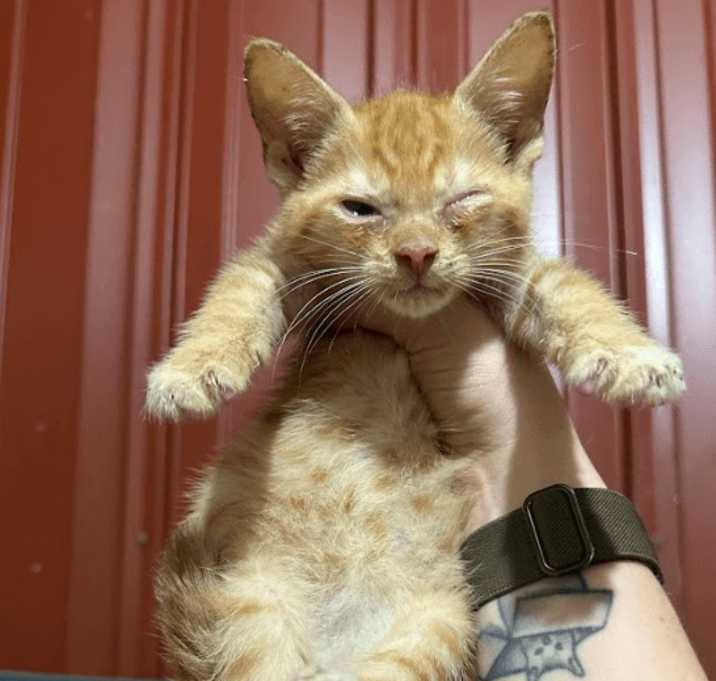 Photo of Lenny