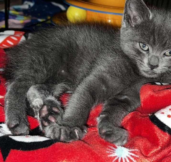 Photo of Neo