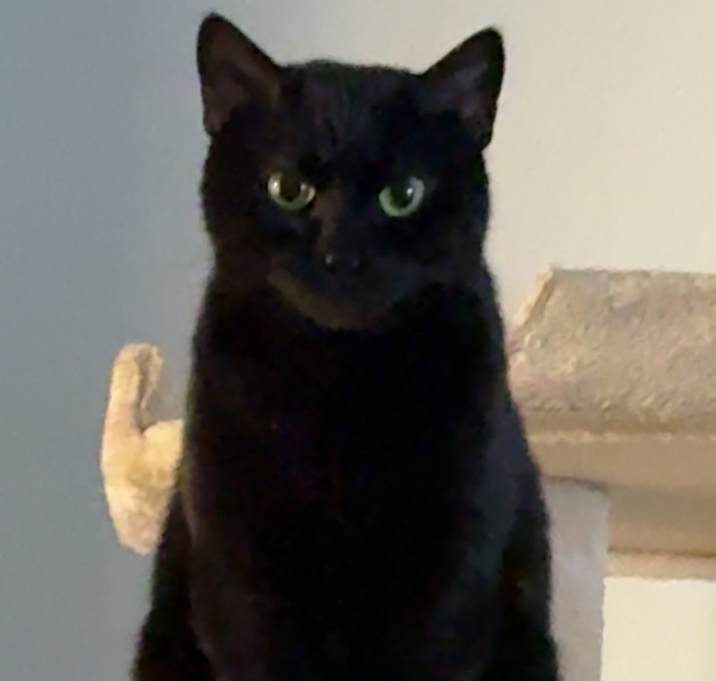 Photo of Mystic